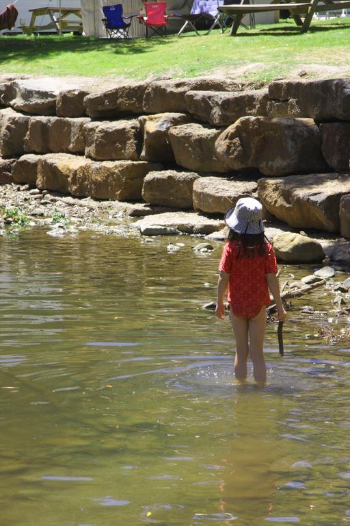 Big4 Wye River Holiday Park Ngoại thất bức ảnh