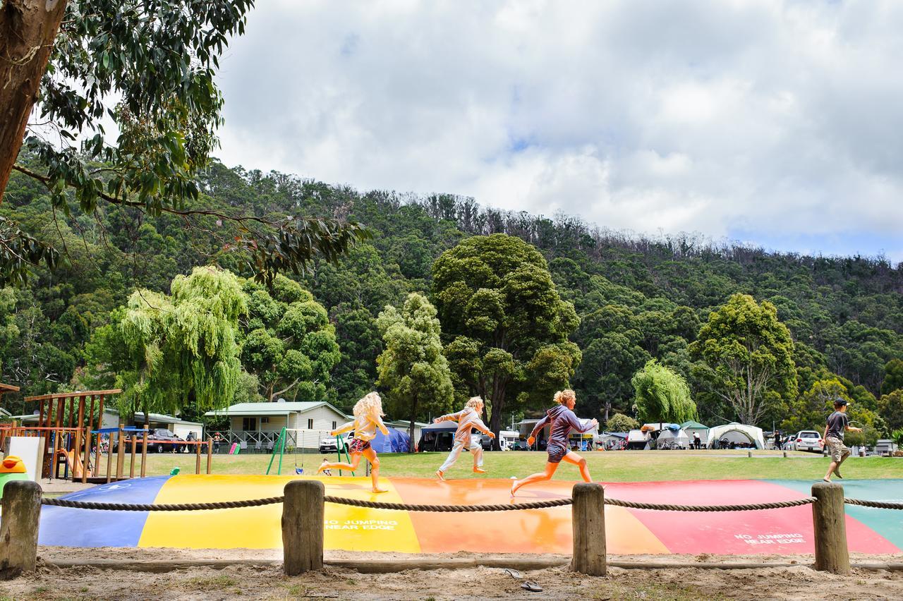 Big4 Wye River Holiday Park Ngoại thất bức ảnh